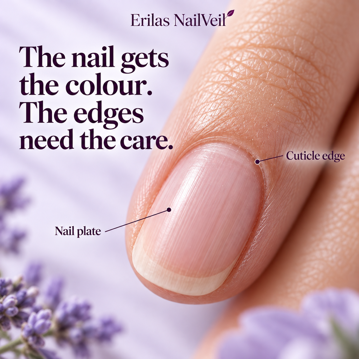 Nail plate and surrounding cuticle edge explained.