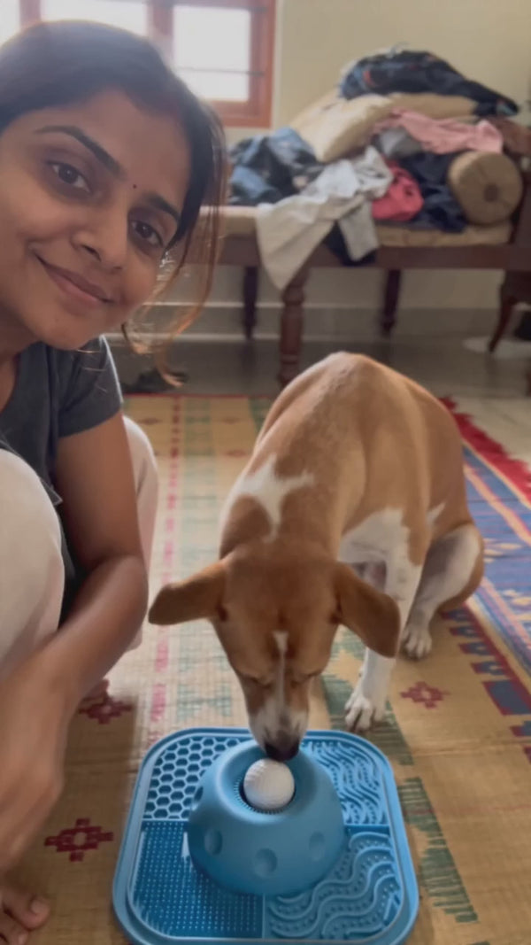 Erilas PawPace woman and dog with rolling ball