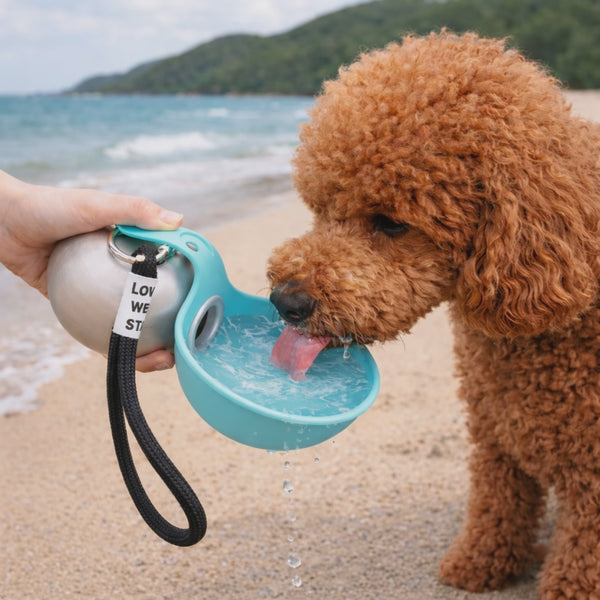 Dog lapping from the source-accurate fold-out PawSipper bowl